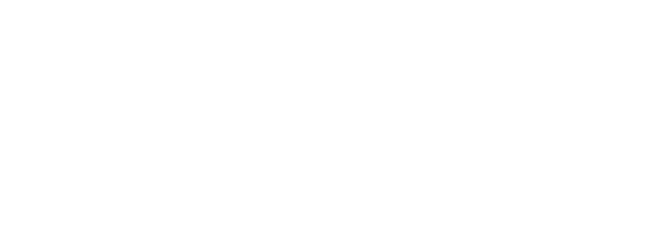 المسار الأول للحلول البرمجية